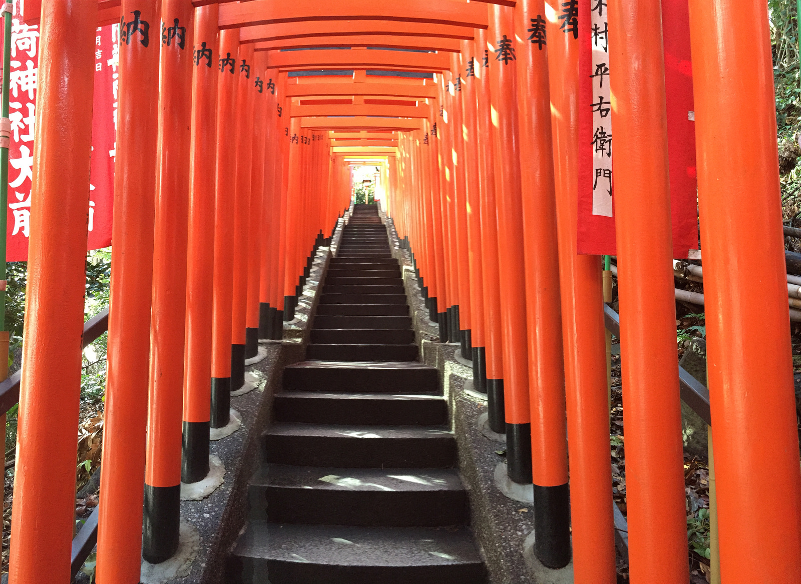 torii-experience-forget-kyoto-go-to-sanno-hie-jinja-in-tokyo